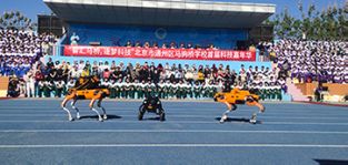凌天攜帶四足機(jī)器狗、偵檢無人機(jī)等高精尖裝備走進(jìn)校園，助力北京通州市馬駒橋?qū)W校首屆科技嘉年華